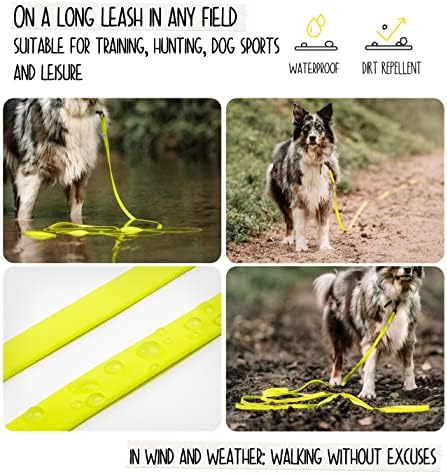 Rudelkönig Correa Perro 5 Metros para Adiestramiento - Robusta y Resistente - Ideal para Perros Grandes