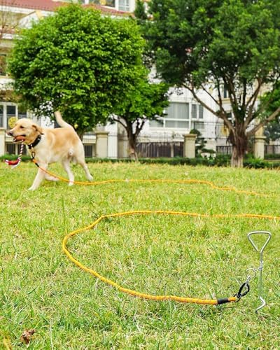 Joytale Correa Larga para Perro 5/10/15/20 Metros, Cuerda Resistente para Adiestramiento y Camping, 5 M Metraje Naranja