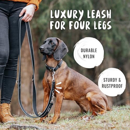 Rudelkönig Correa Perro Paola Ajustable_negro_230cm_adiestramiento_grandes_medianos